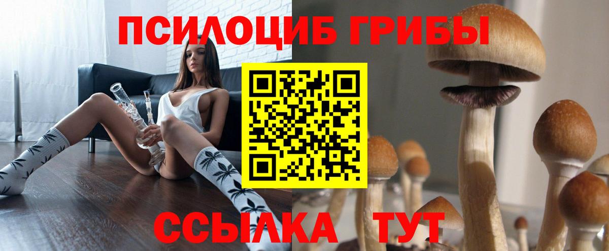 Псилоцибиновые грибы прущие грибы  Вход с VPN  Сорочинск 